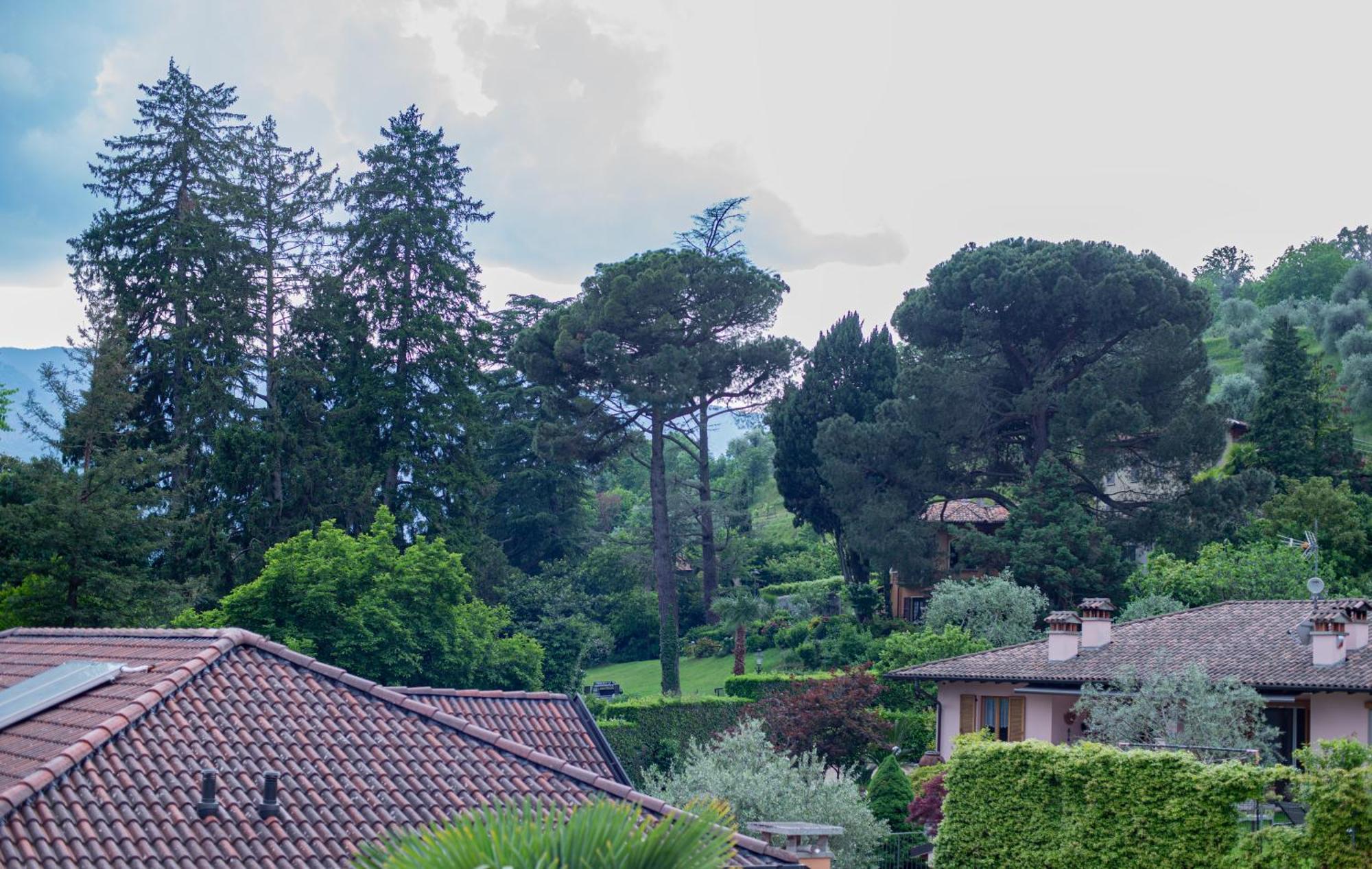 Serene Garden Getaway Cadenabbia Extérieur photo